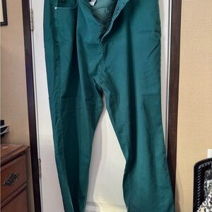 Catherines Sateen Stretch Pants in Green